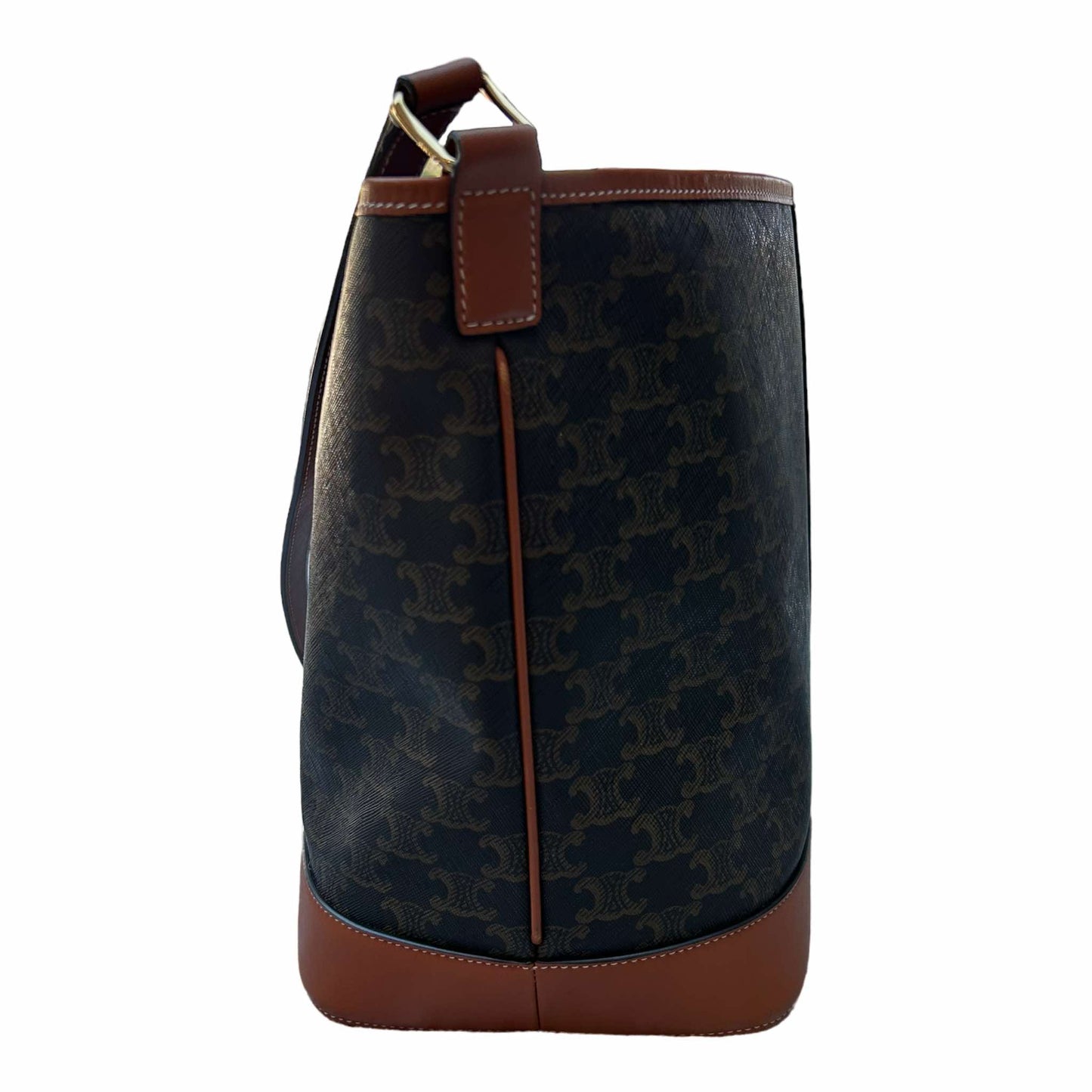 Celine Medium Bucket Bag In Triomphe Canvas