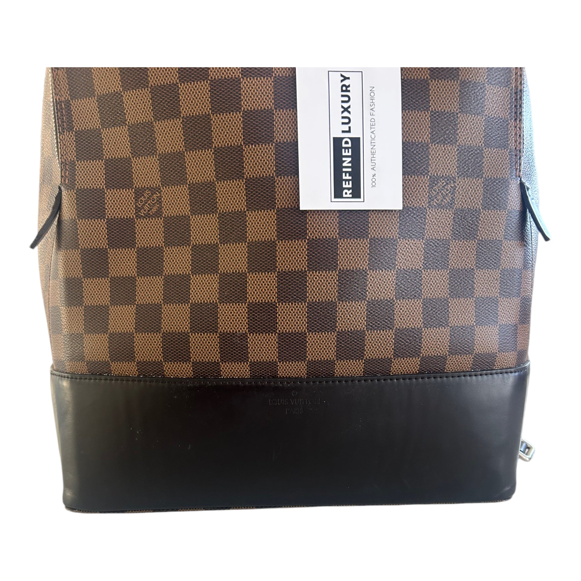 Louis Vuitton Damier Ebene Jake Backpack - N41588