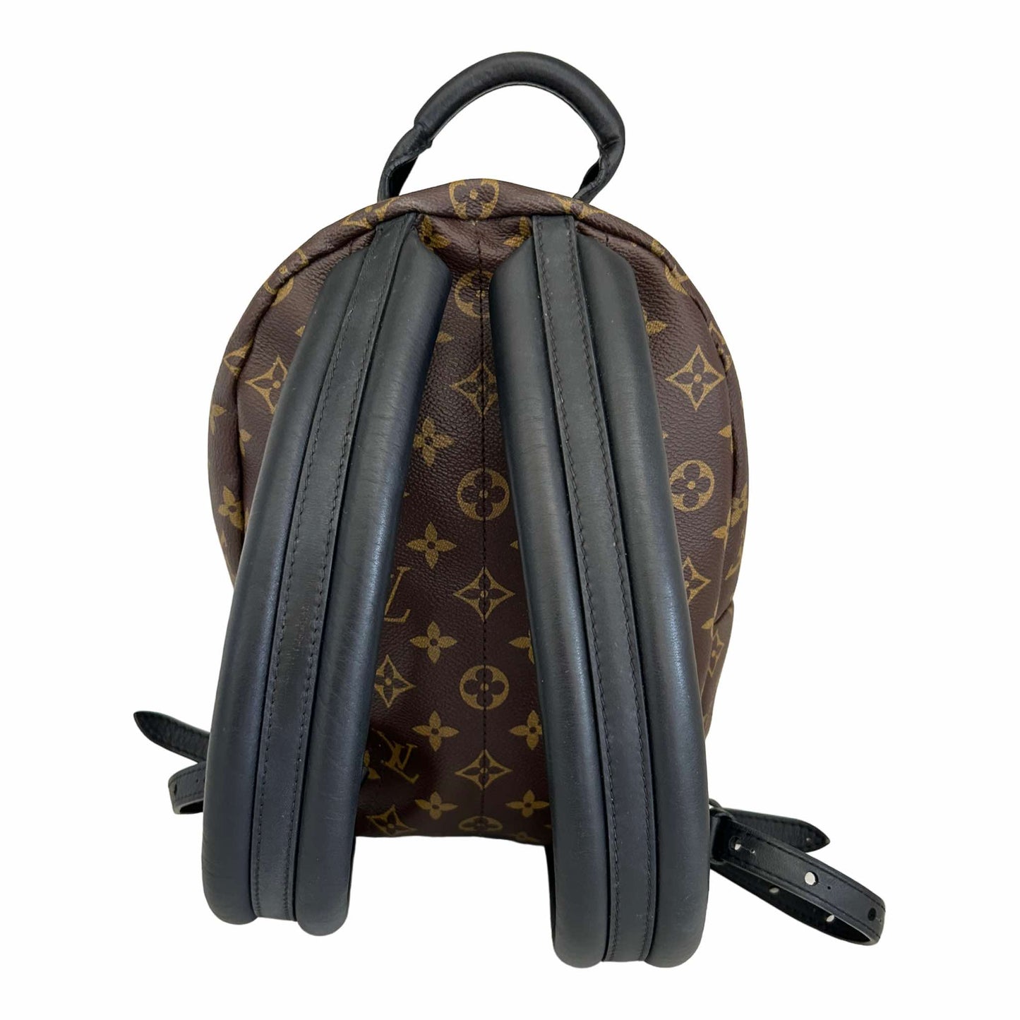 Louis Vuitton Palm Springs PM Backpack - M44871