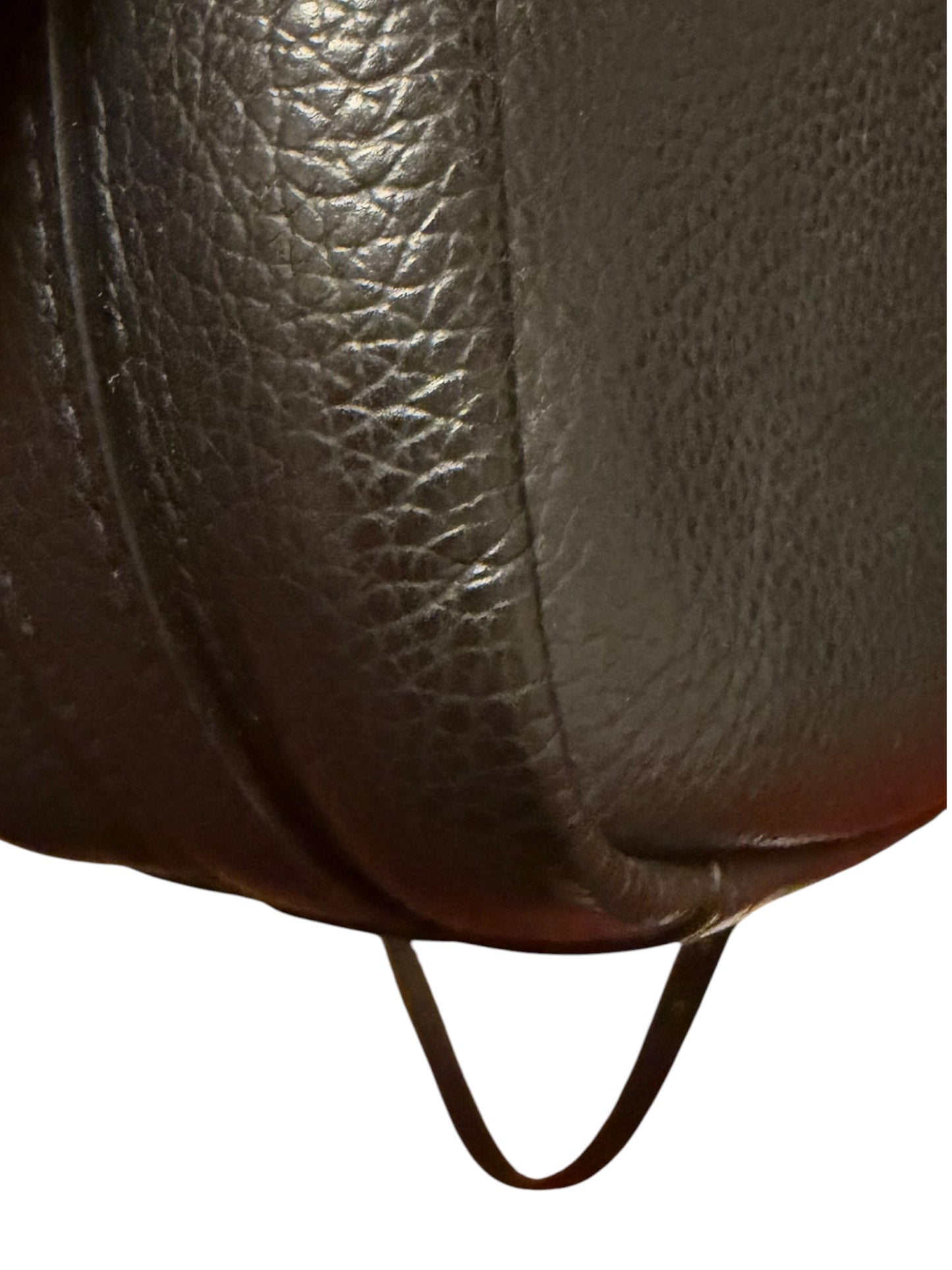 Balenciaga Everyday Medium Camera Bag