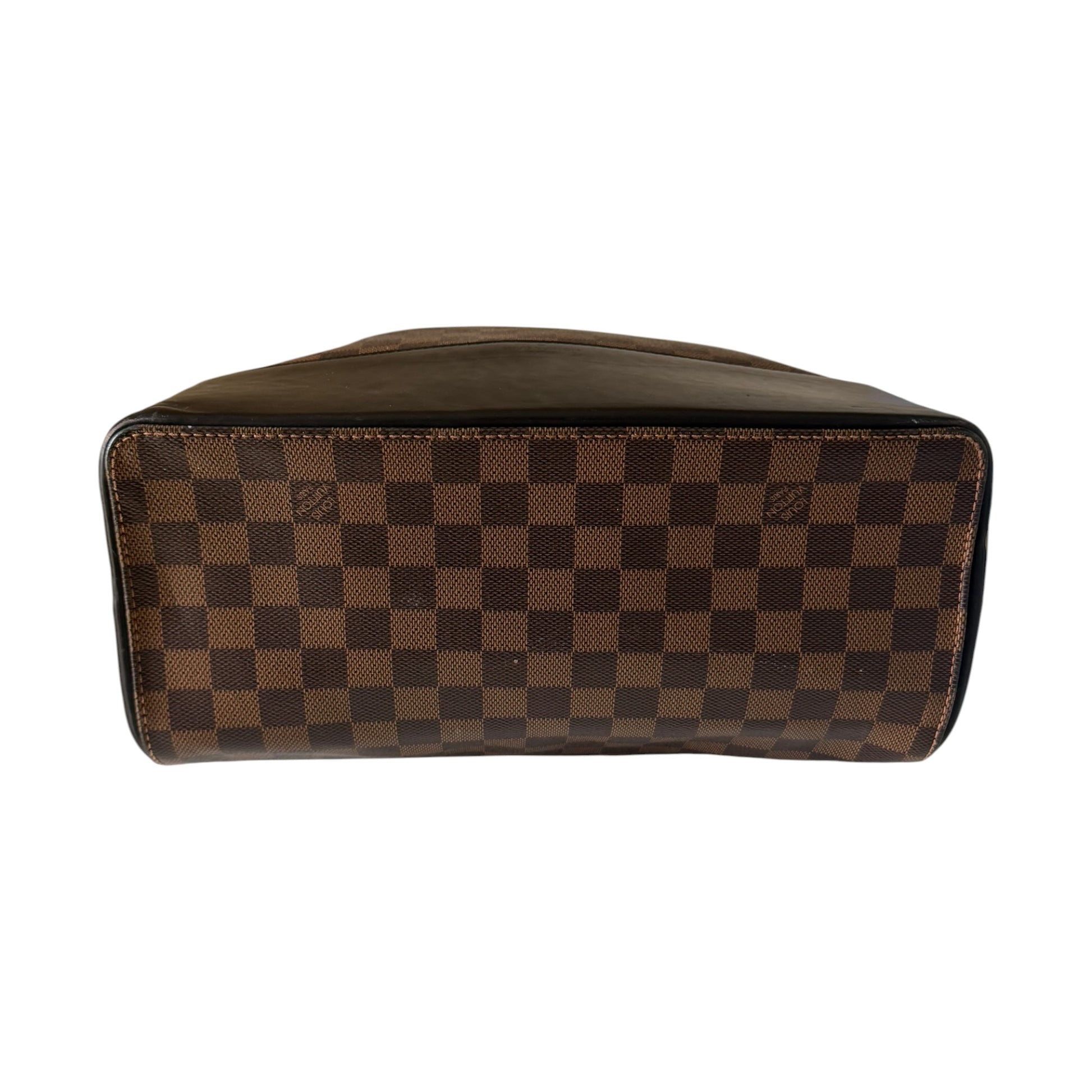 Louis Vuitton Damier Ebene Jake Backpack - N41588