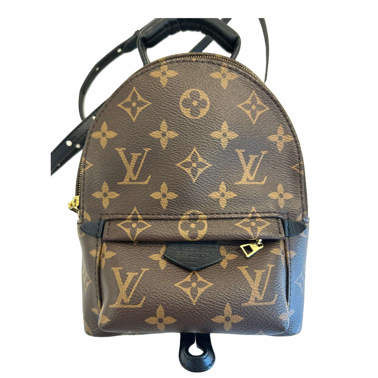 Louis Vuitton Palm Springs Mini Backpack - M44873