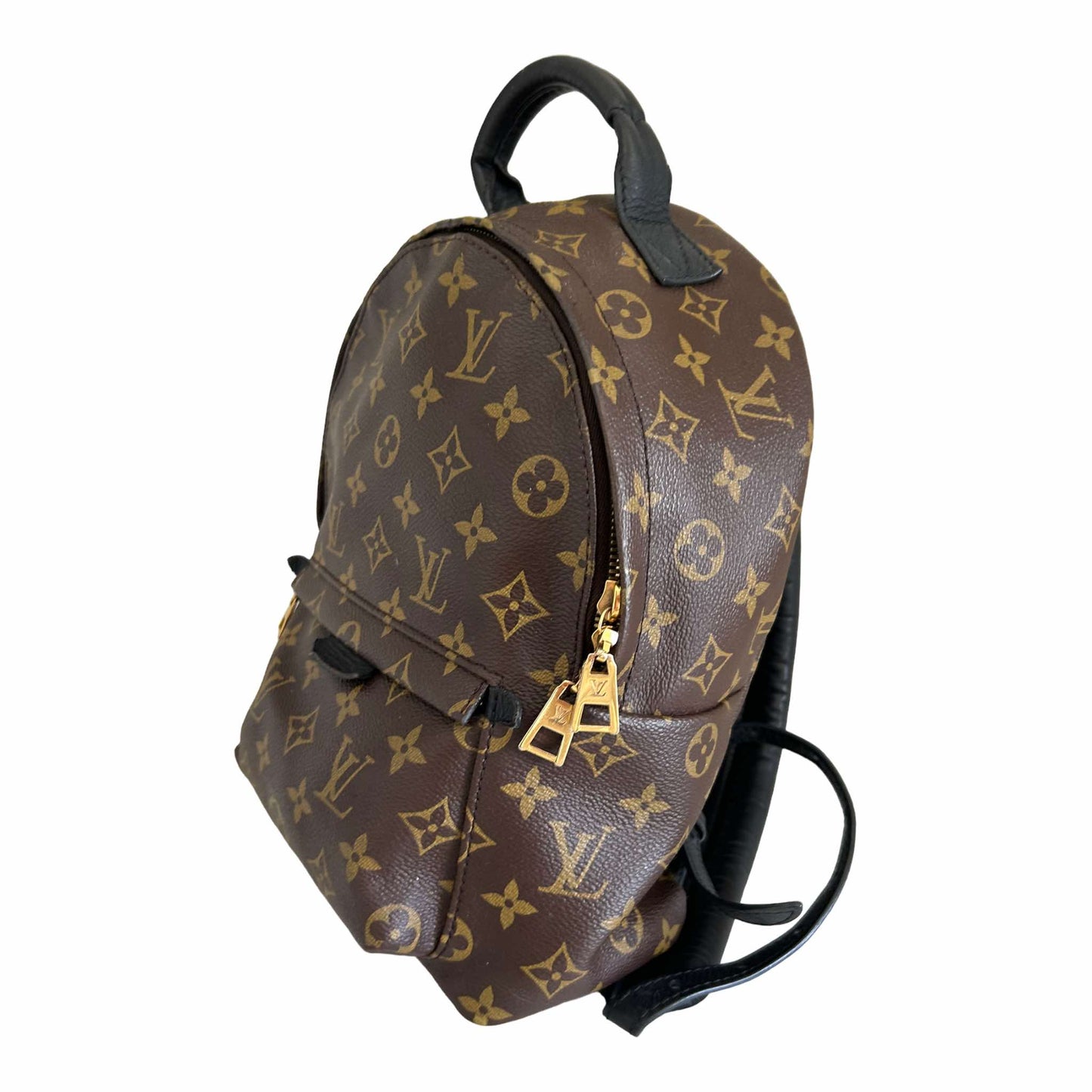 Louis Vuitton Palm Springs PM Backpack - M44871