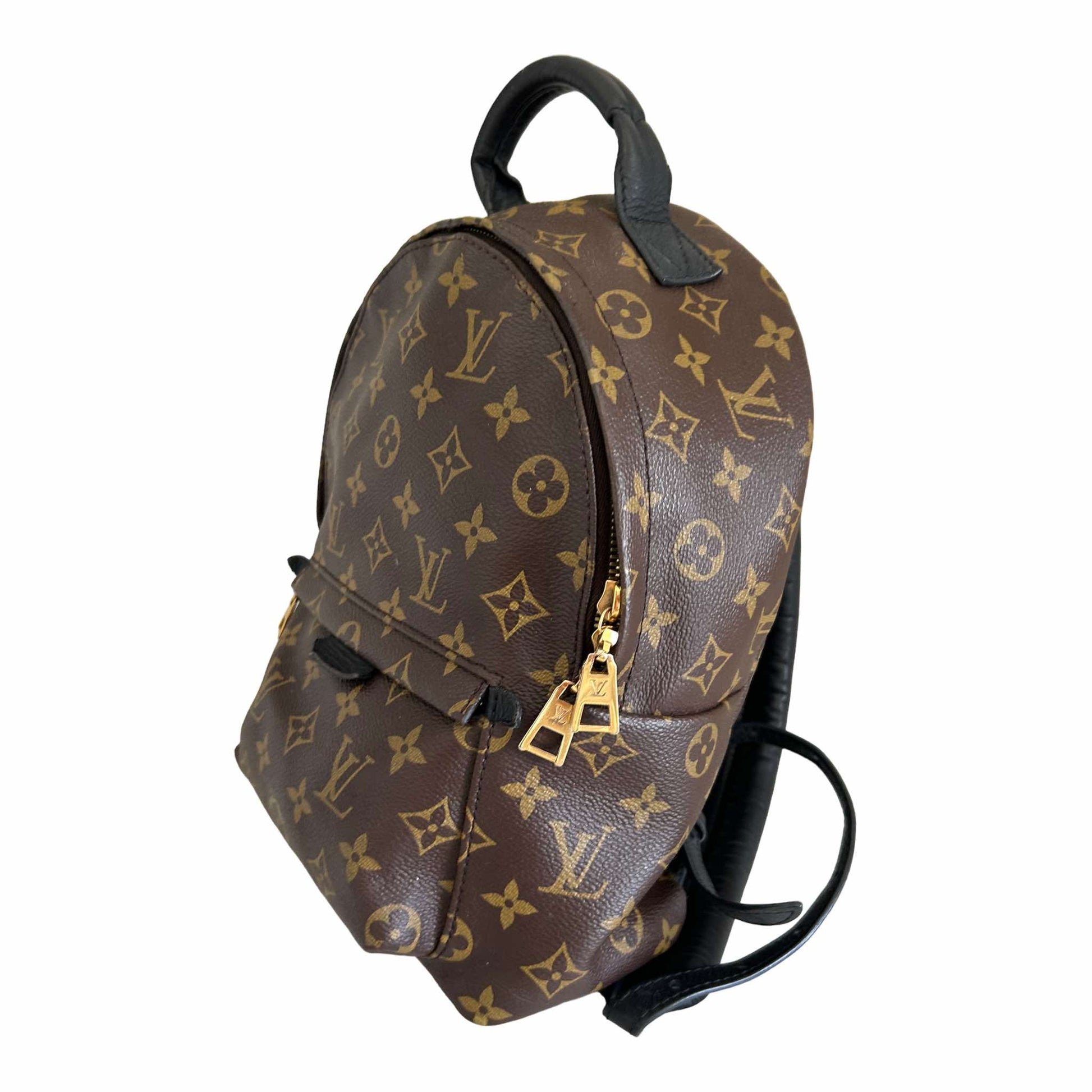 LOUIS VUITTON Palm Springs PM Monogram Black Leather Backpack