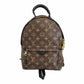 Louis Vuitton Palm Springs PM Backpack - M44871