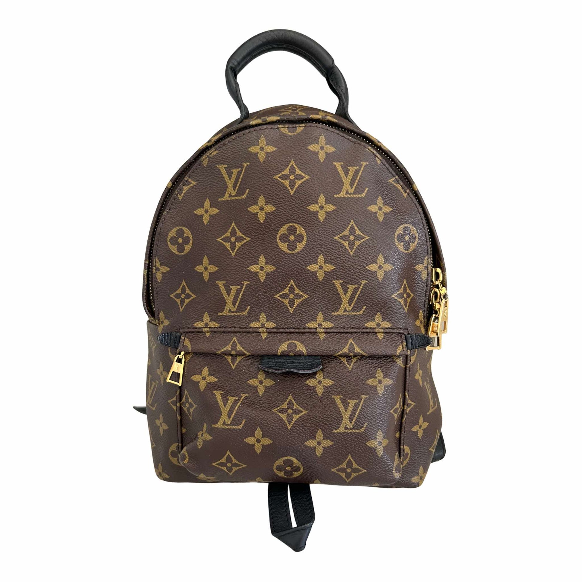LOUIS VUITTON Monogram Palm Springs Backpack PM M44871 Backpack