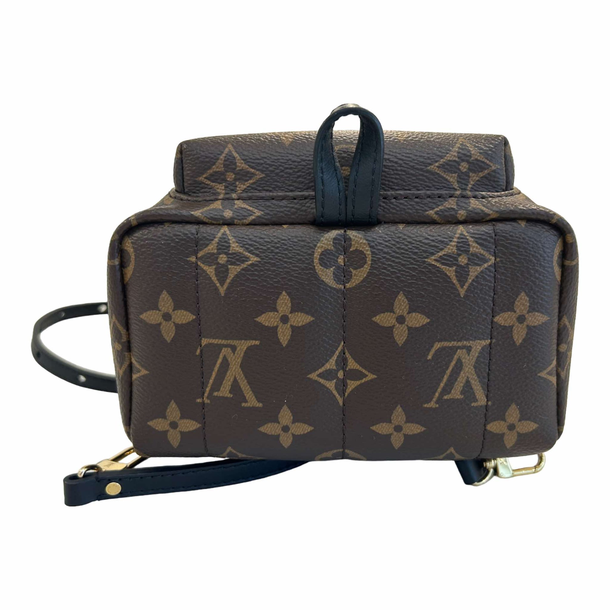 Louis Vuitton Palm Springs Mini Backpack - M44873