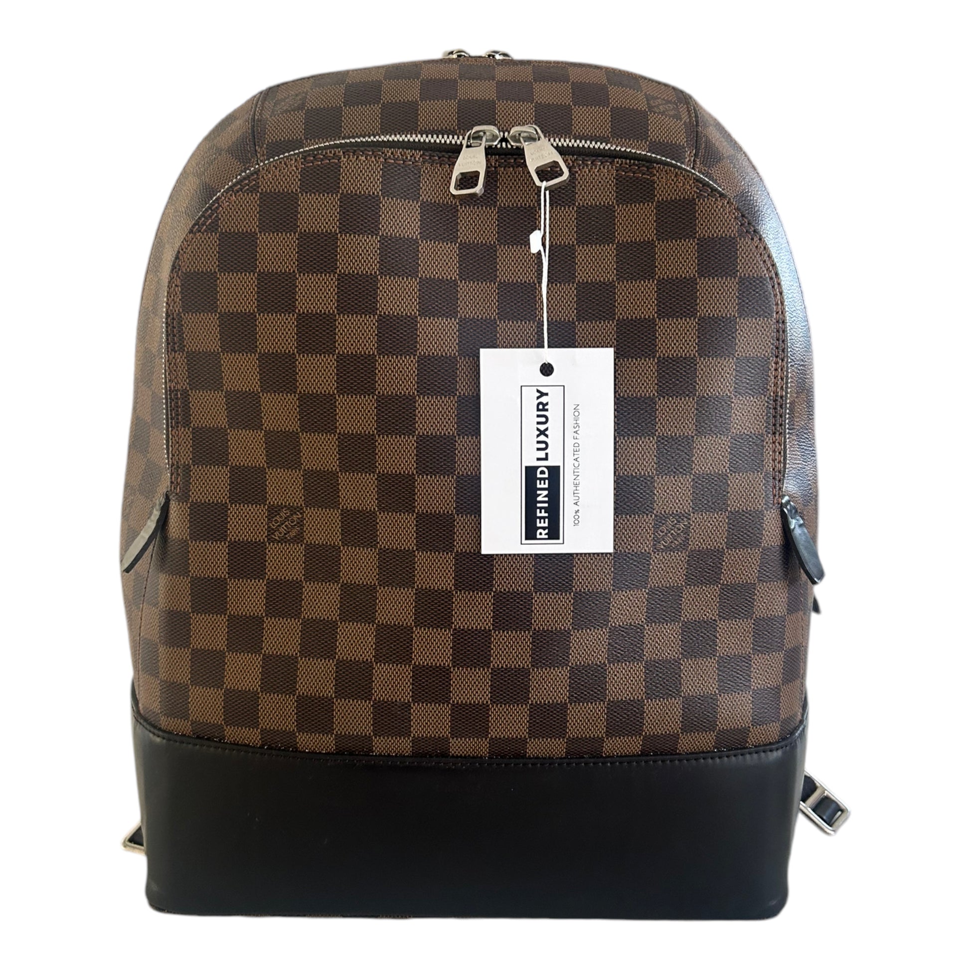 Louis Vuitton Damier Ebene Jake Backpack - N41588