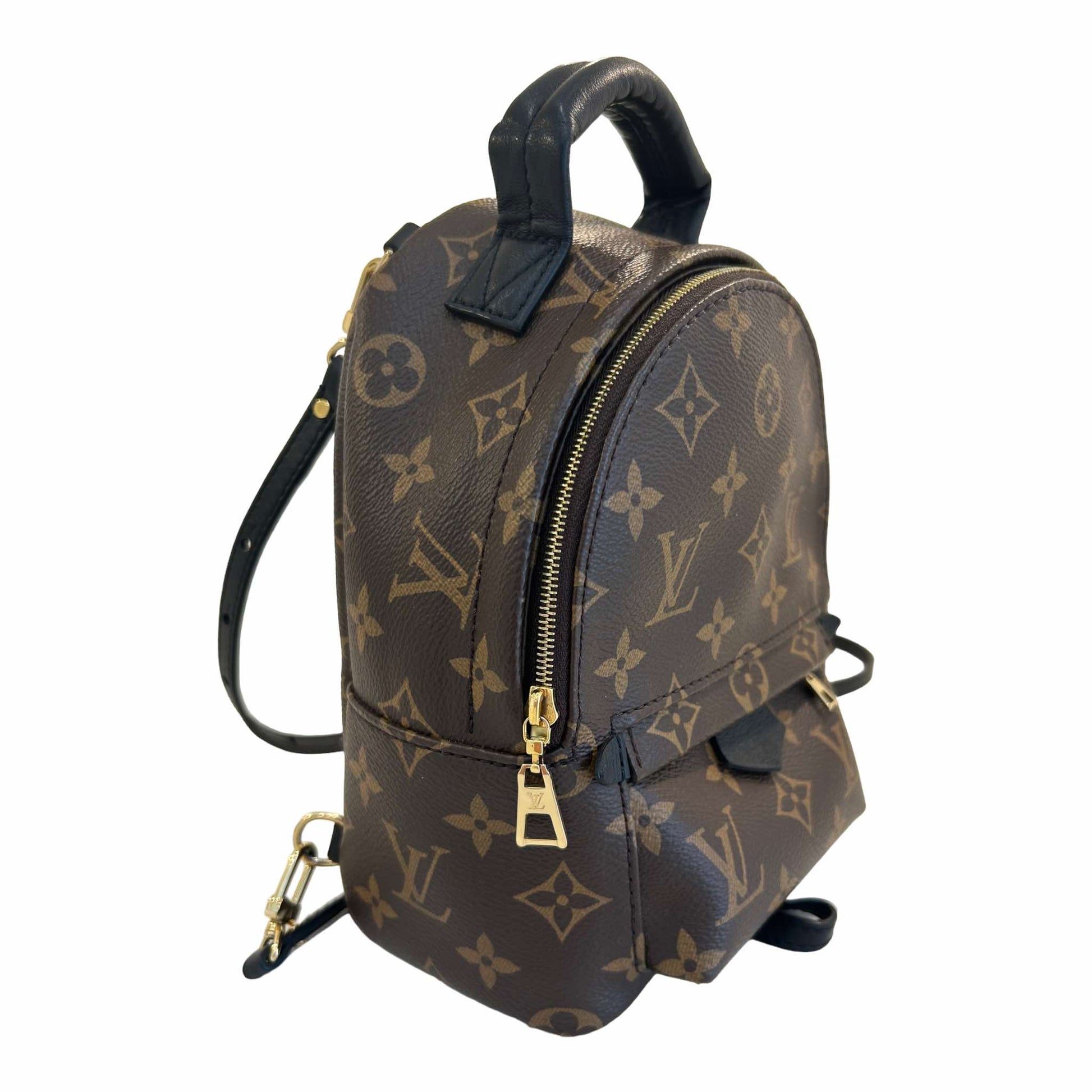 Louis Vuitton Palm Springs Mini Backpack - M44873