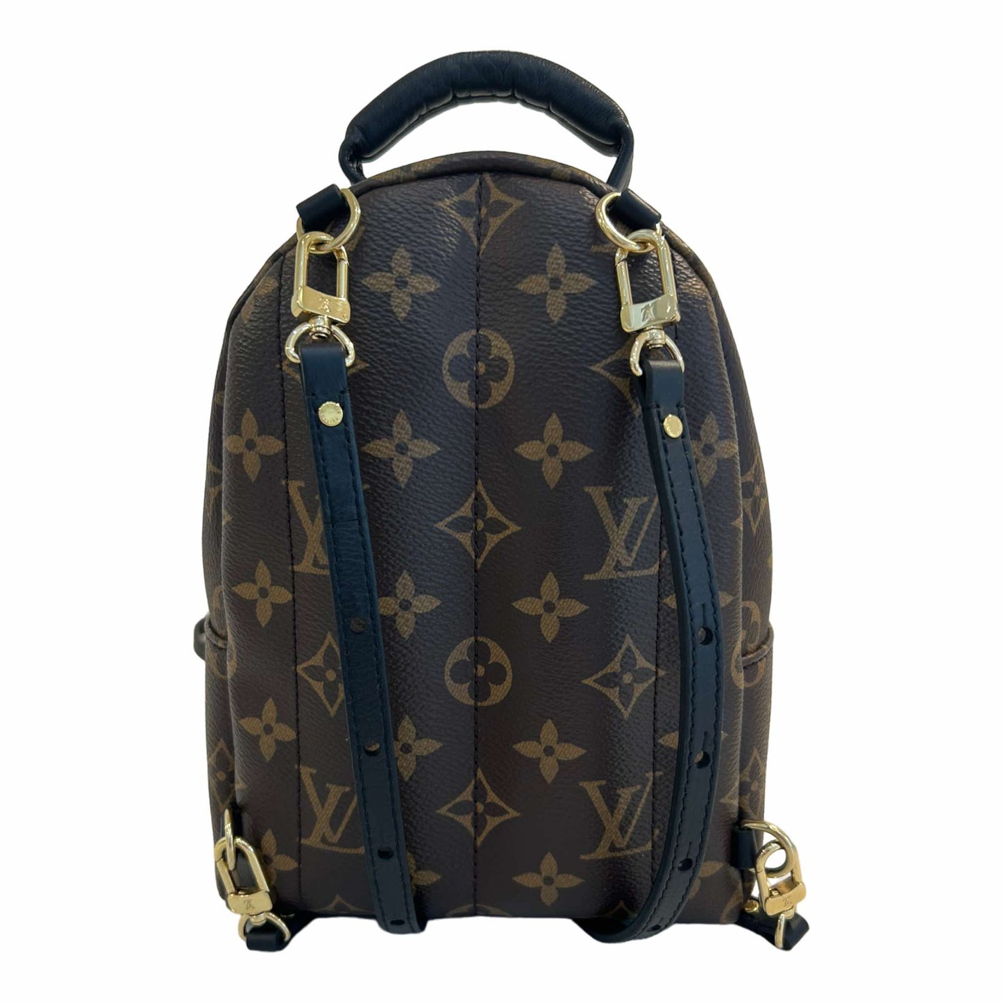 Louis Vuitton Palm Springs Mini Backpack - M44873